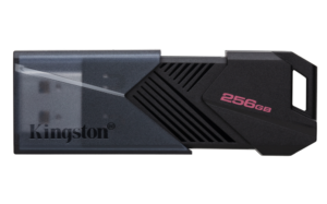 MEMORIA USB 256GB KINGSTON DTXON/256GB USB3.2